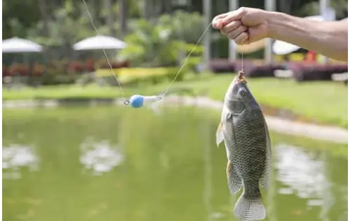 Pesca Deportiva en Tolima | livetolima.com